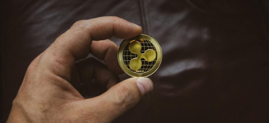 person holding round gold colored coin